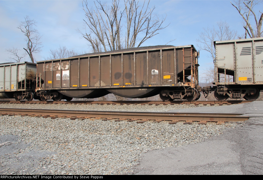NS 10029